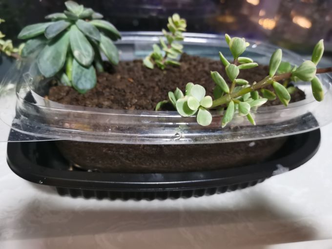 张存有腊肉腊肠