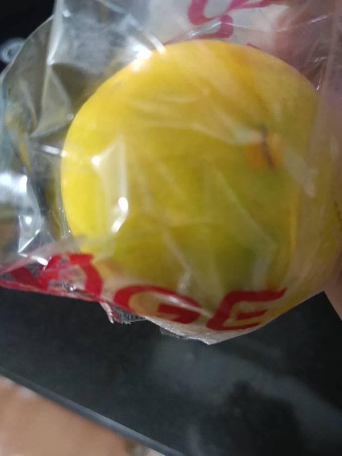 爆橙橙子