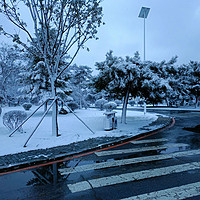 东北的雪，令人感动