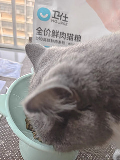 x90猫粮，爱心颗粒猫粮