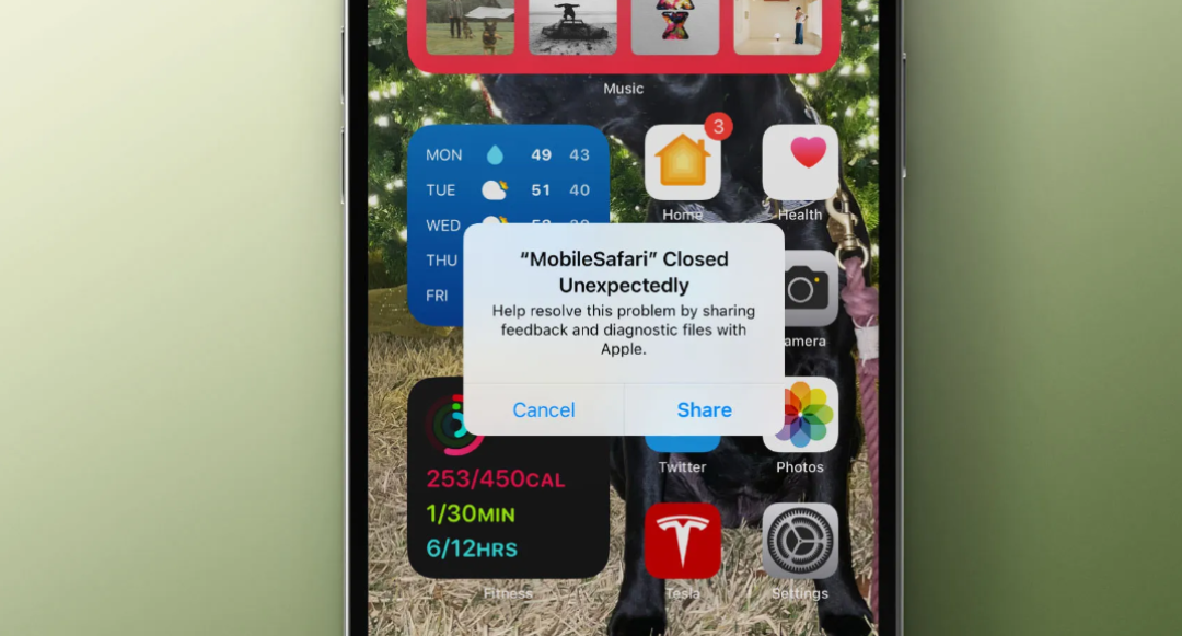 又有Bug:iPhone/iPad 输入某些字母时会导致 Safari 崩溃