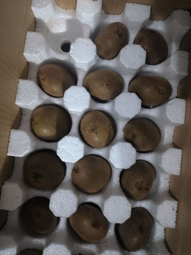 好吃的猕猴桃
