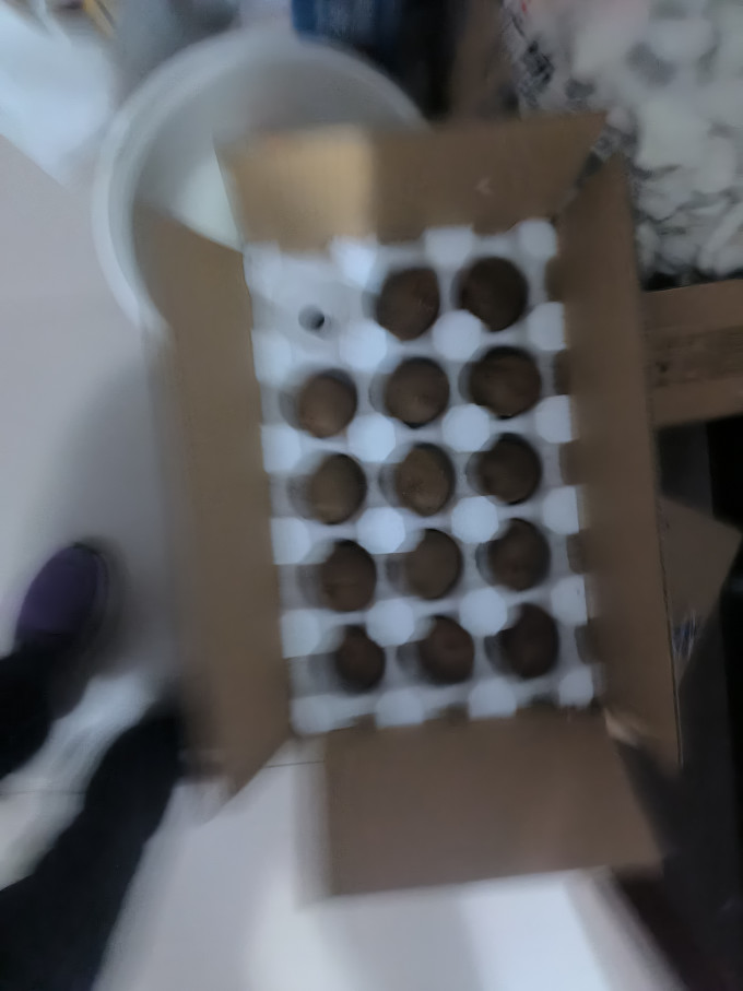 猴王徐香奇异果/猕猴桃