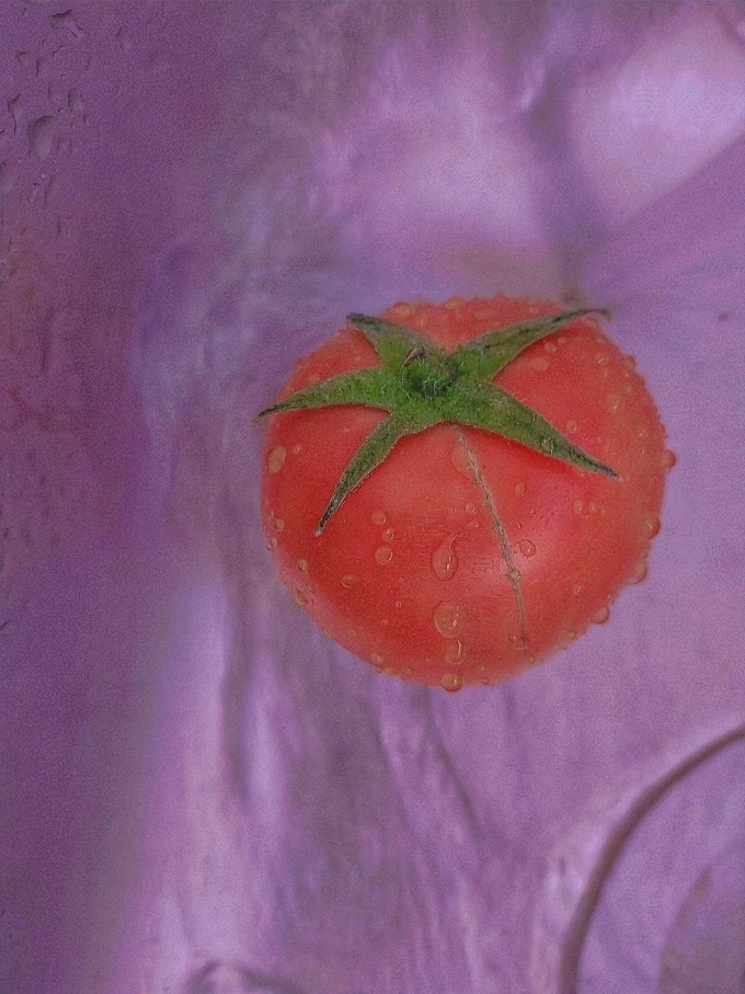 静益乐源蔬菜