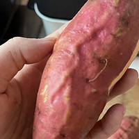 同事家乡的山东“血管”红薯真的太像了