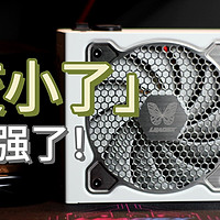 硬核DIYer日志 篇五十三：​13cm小巧机身，还有白金牌认证：振华LEADEX VP1000W 额定1000W电源