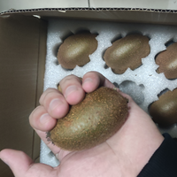第一次尝试绿心猕猴桃🥝，也叫奇异果