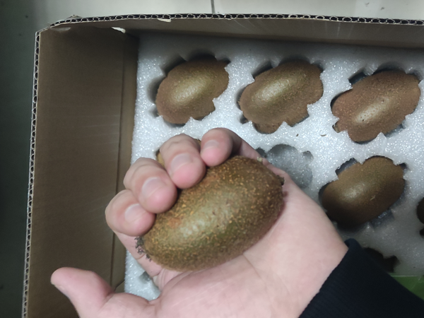 第一次尝试绿心猕猴桃🥝，也叫奇异果