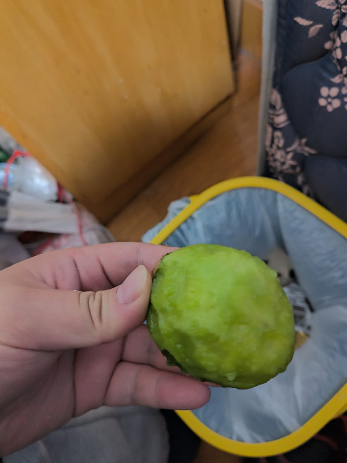 清翠香奇异果/猕猴桃