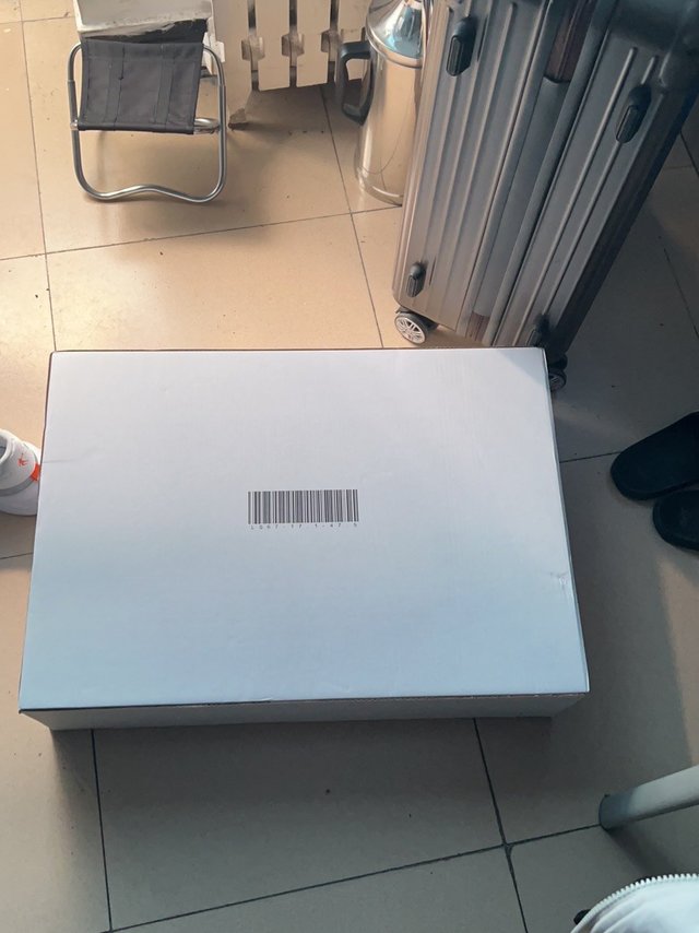 冬天的第一件大鹅