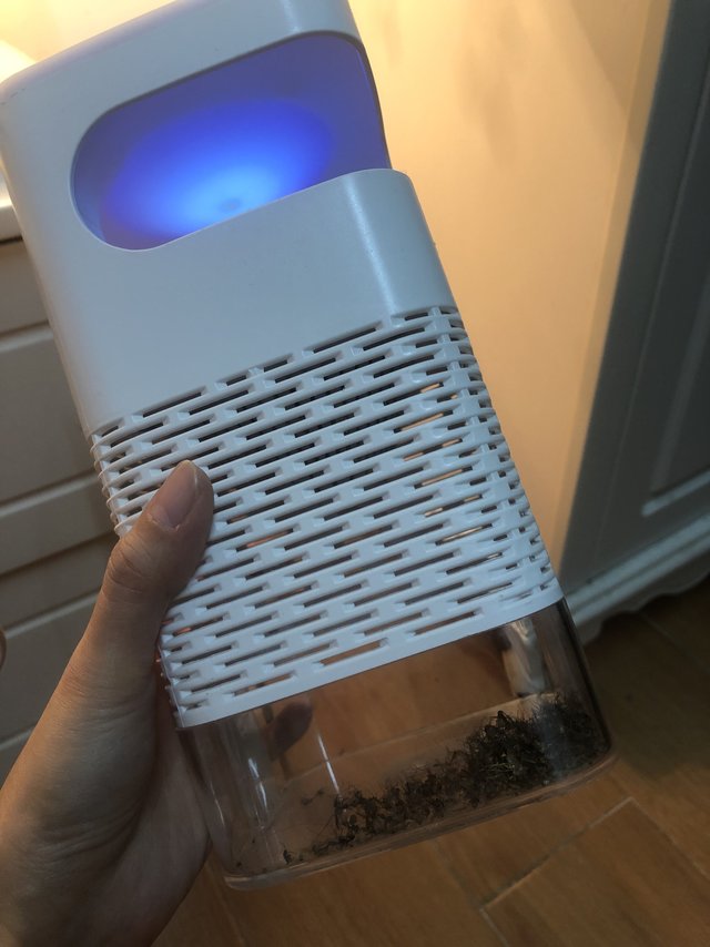 这玩意太神啦😆专注蚊虫飞蛾，不错👍🏻！