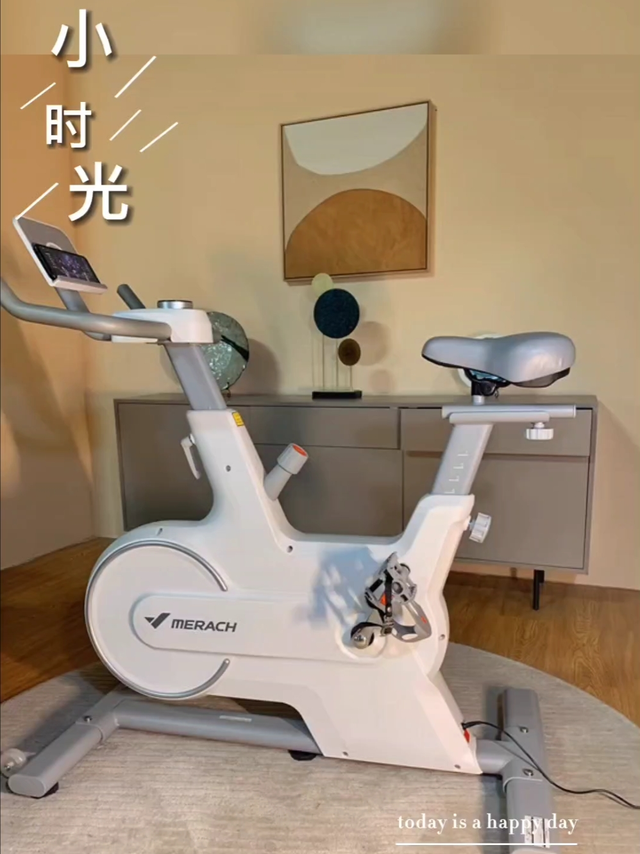 麦瑞克动感单车家用运动磁控mini健身自行车