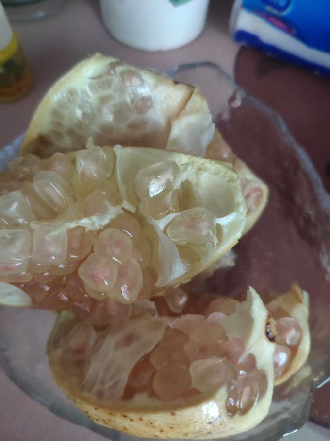 邻和其他水果