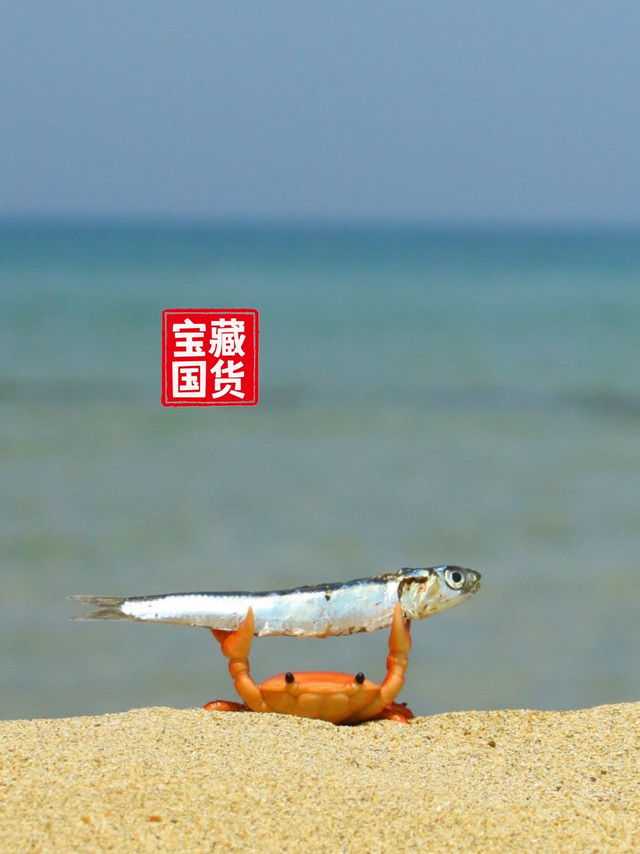 用签到红包薅羊毛购买水笔这件事