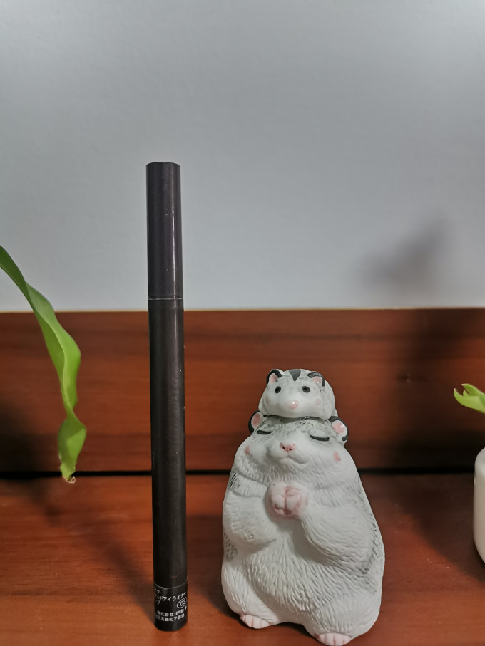 凯伊斯眼线