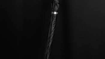 DanMunier 十二生肖雨伞创意复古中国风属相动物头自动长柄雨伞