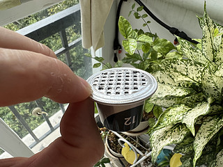 用完的胶囊咖啡有妙用——微型盆栽