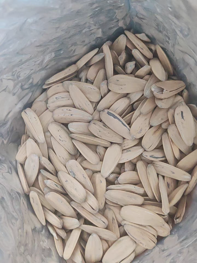 洽洽瓜子