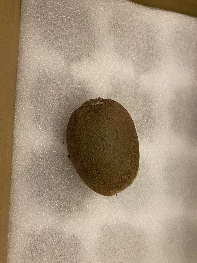 肴池新鲜水果