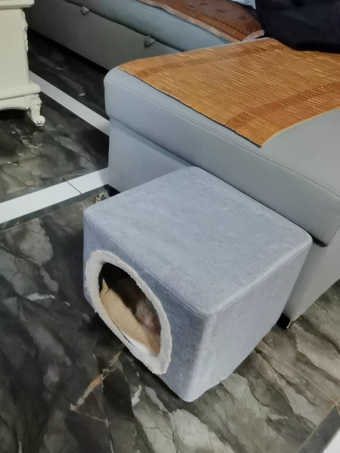 猫狗窝