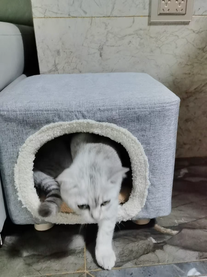猫狗窝