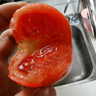 这款西红柿适合做西红柿炒蛋