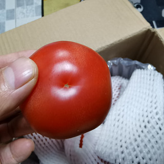 这款西红柿适合做西红柿炒蛋