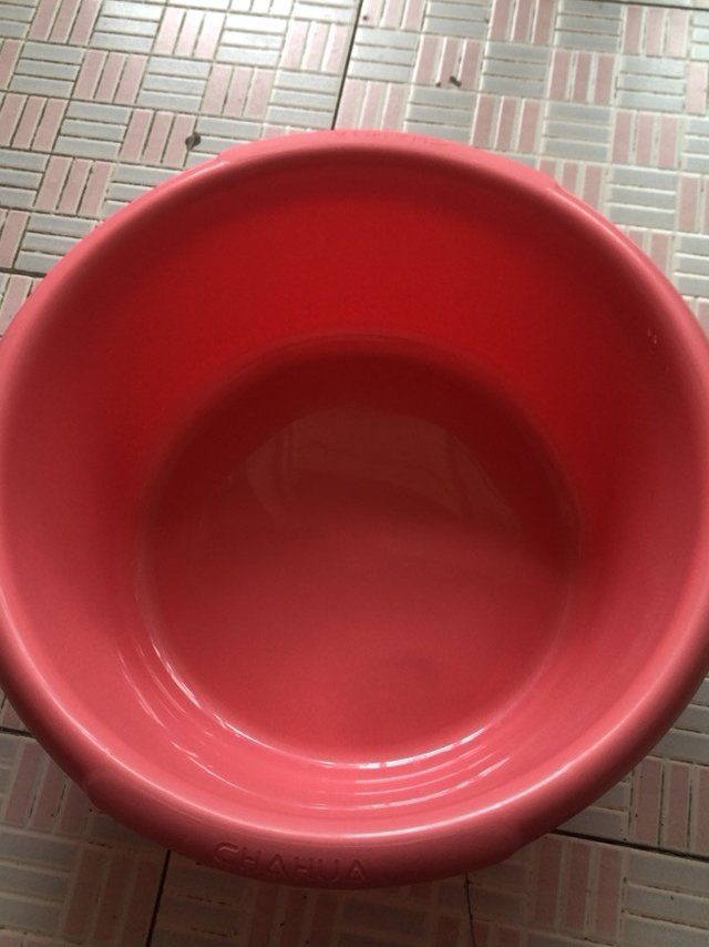 这个盆太超值