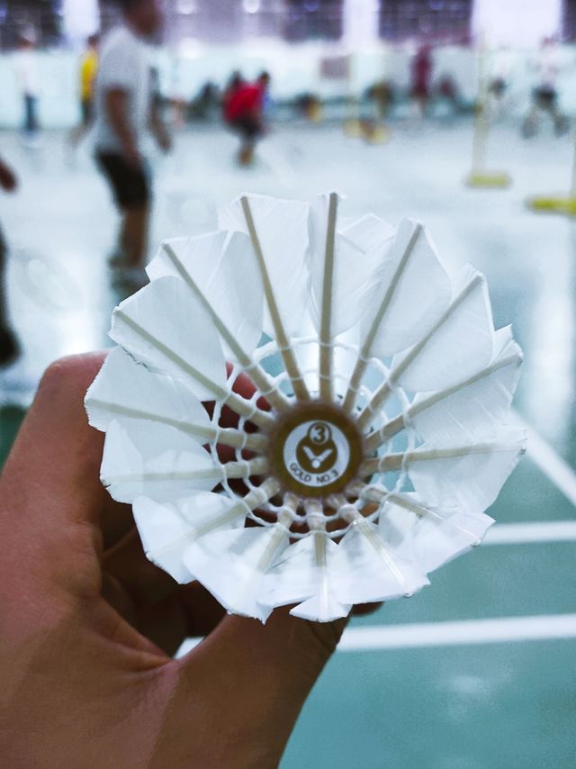 聊聊那些便宜且能打的羽毛球