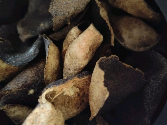 福東海花果茶