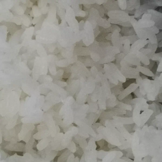 十月稻田鲜米-一年一季