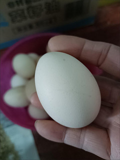 土鸡蛋正宗农家散养土鸡蛋孕妇宝