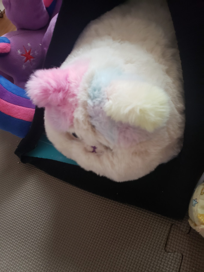毛绒布艺