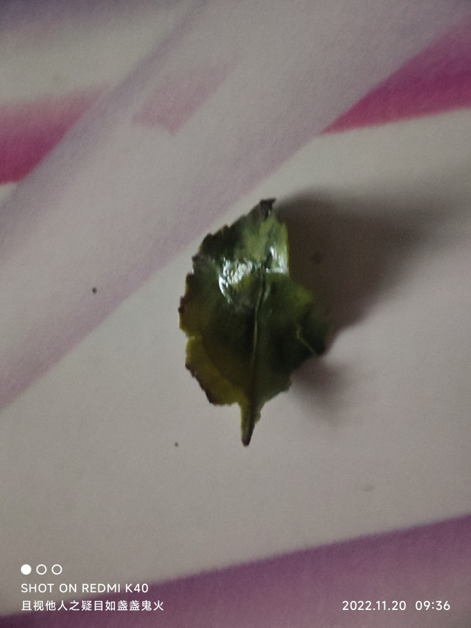 中广德盛茶类