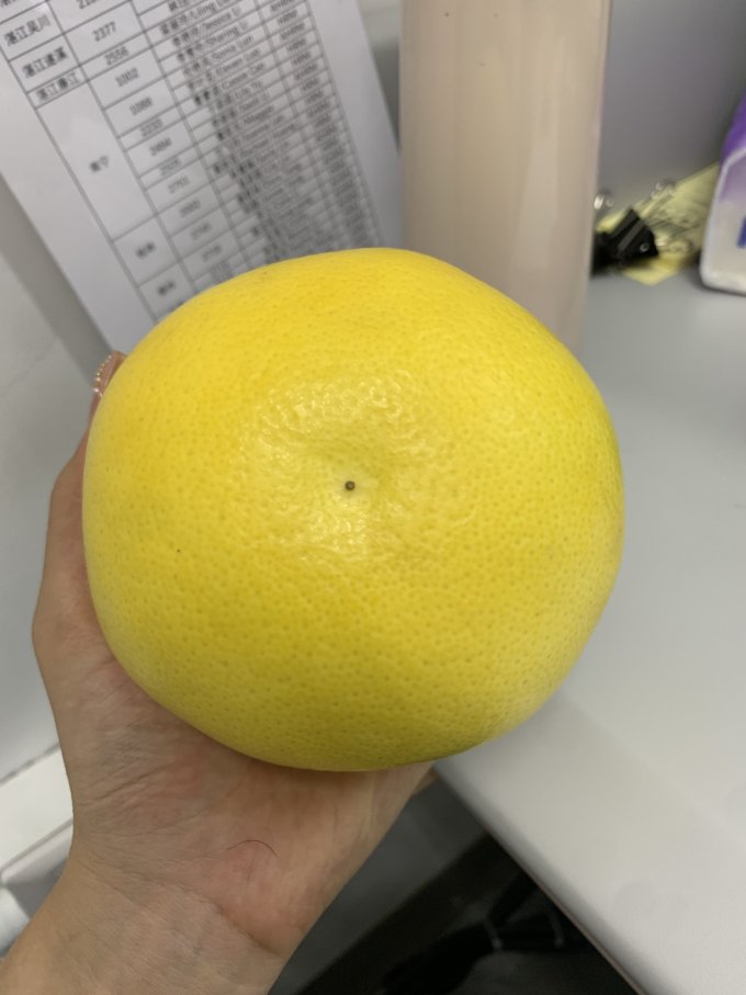 世纪村柚子