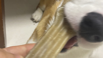 狗子爱吃的磨牙棒！超耐咬的！