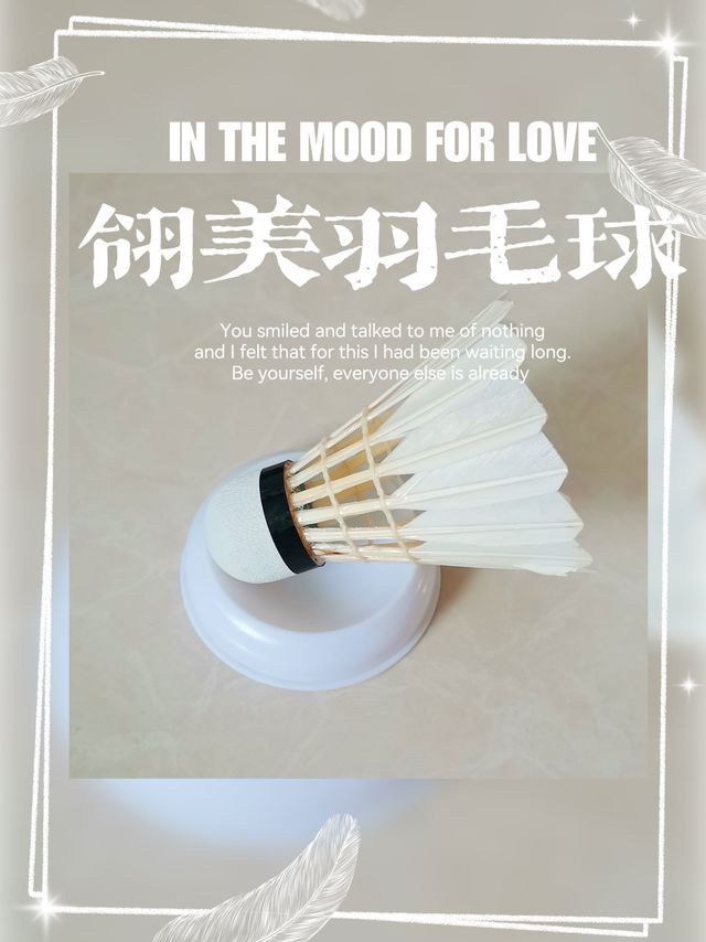 稳定耐打的翎美羽毛球推荐