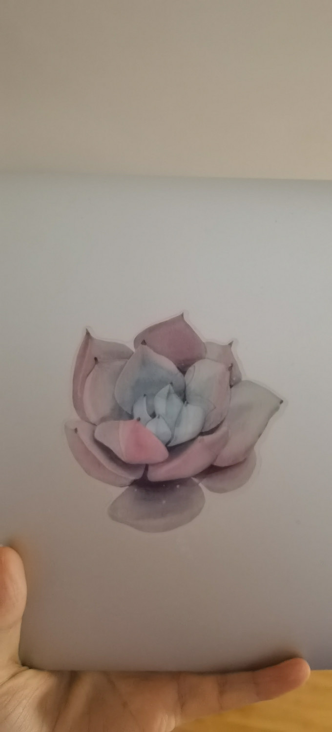 智德保贴纸