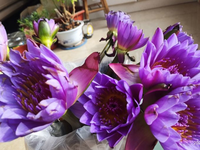 花点时间鲜花