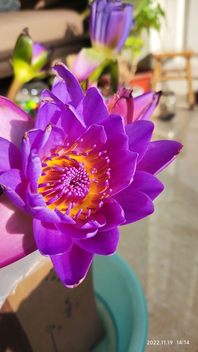 花点时间鲜花