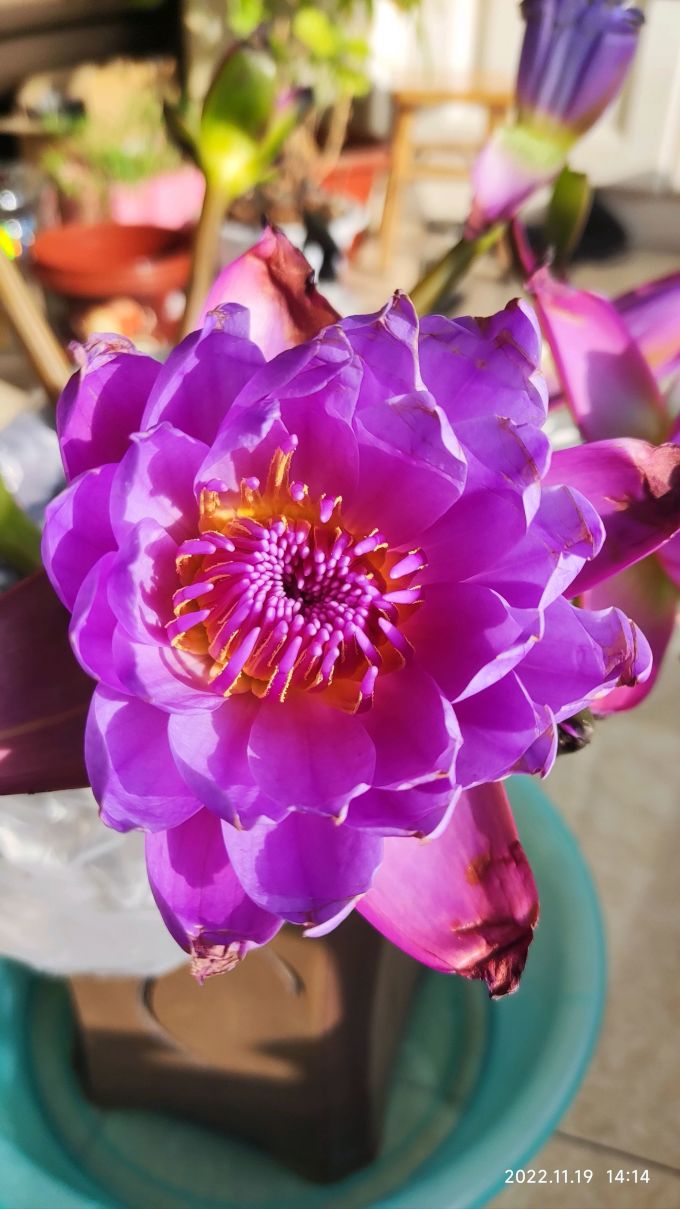 花点时间鲜花