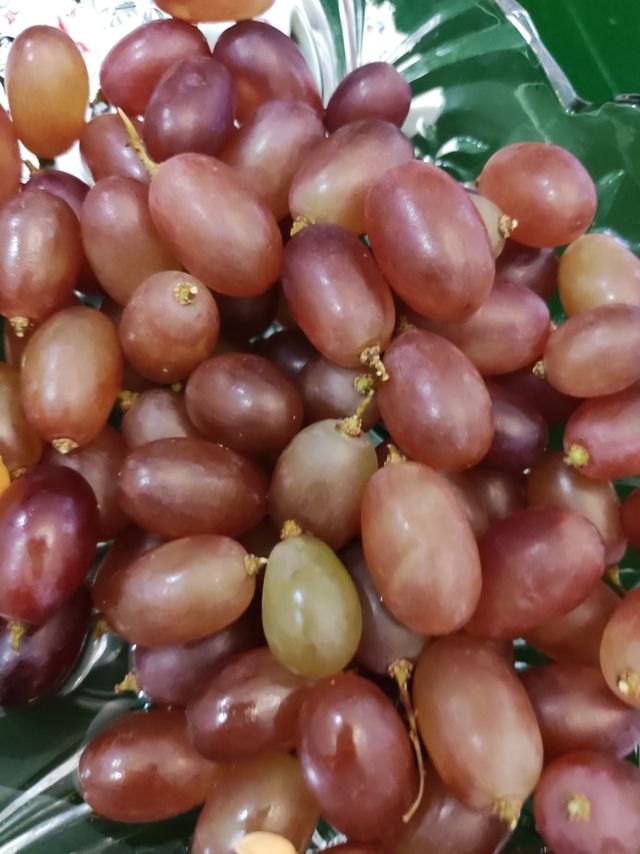 手指葡萄真的是一定要试试哦