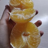 怎么会有赣南脐橙这么好吃的橙子！！
