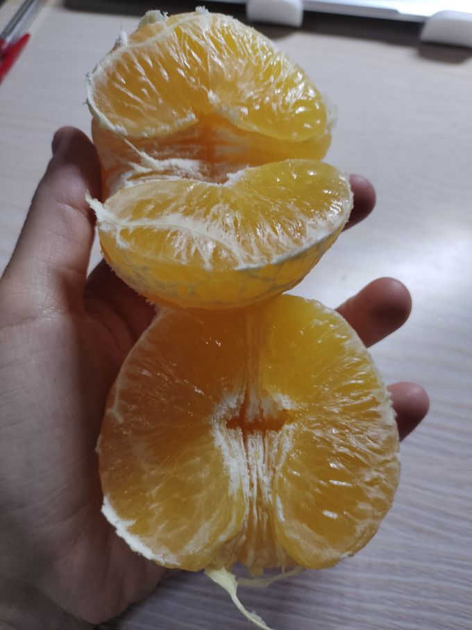 农夫山泉橙子