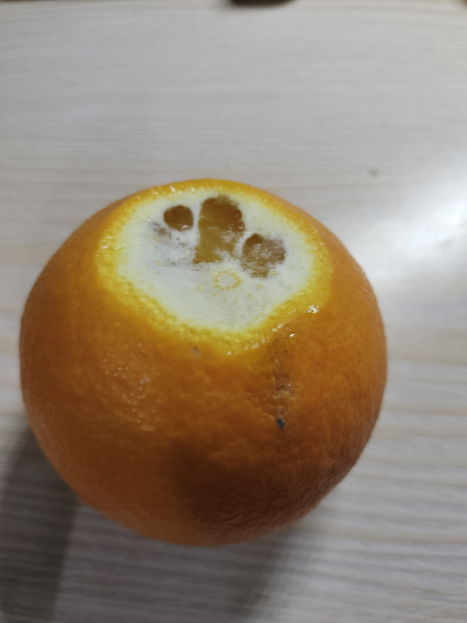 农夫山泉橙子
