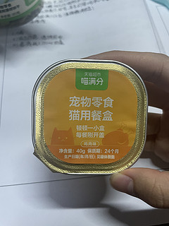 一杯奶茶钱，让猫咪过上幸福生活