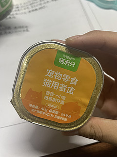 一杯奶茶钱，让猫咪过上幸福生活