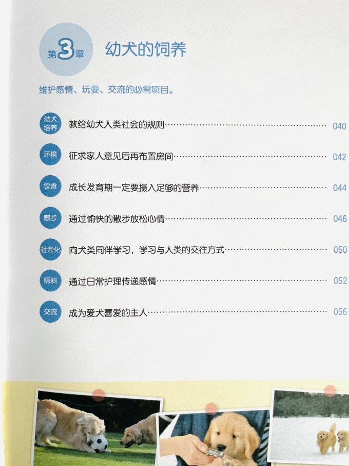 河北科学技术出版社工具书