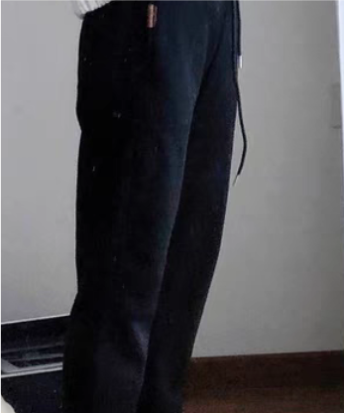 女裤
