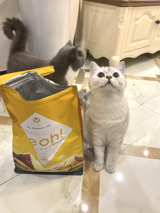 猫粮
